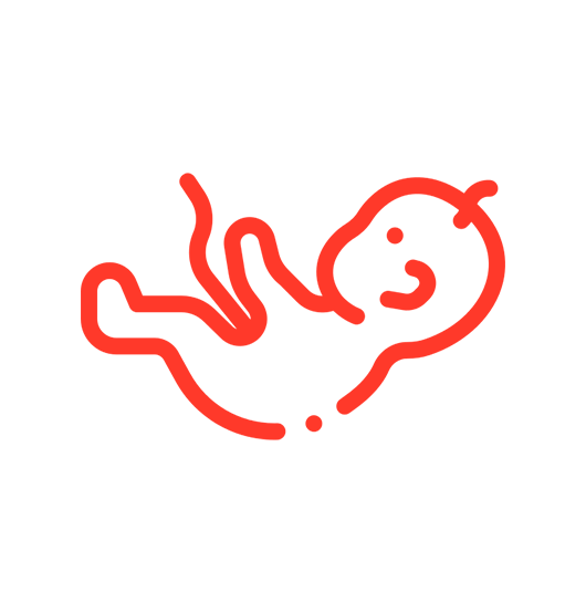 Bebe Bebe